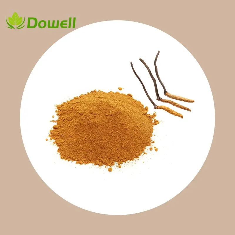 Cordycep Acid Powder