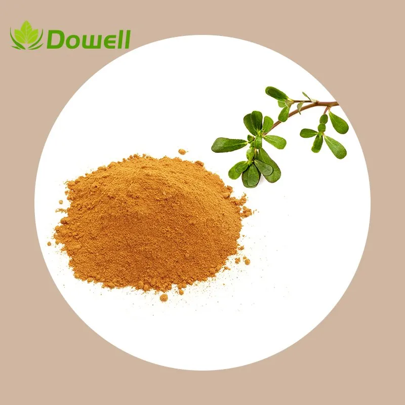 Purslane Herb Extract