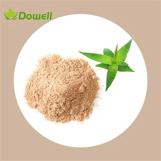 Extrato de Aloe Vera em Pó Puro